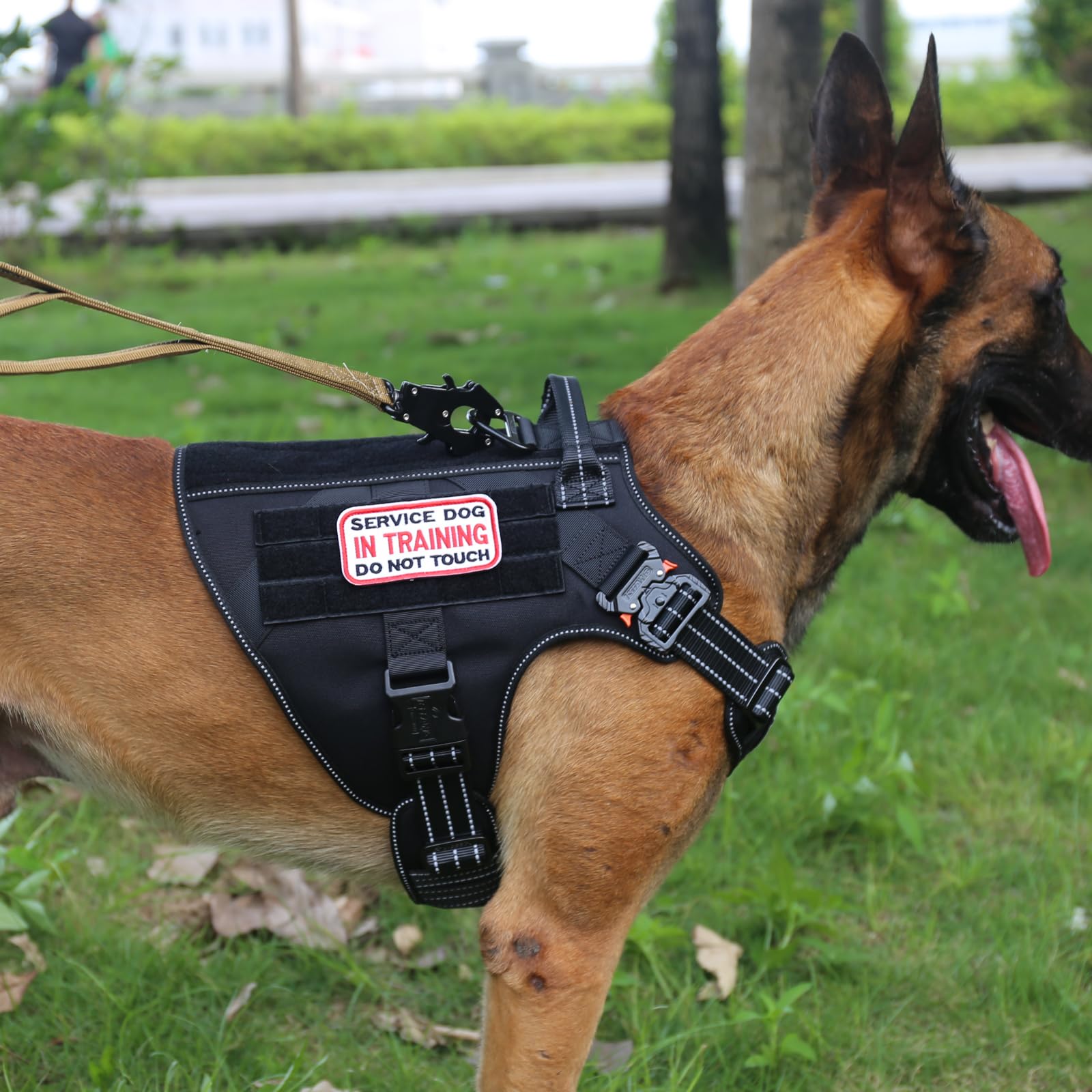 Streamlined Canine Harness