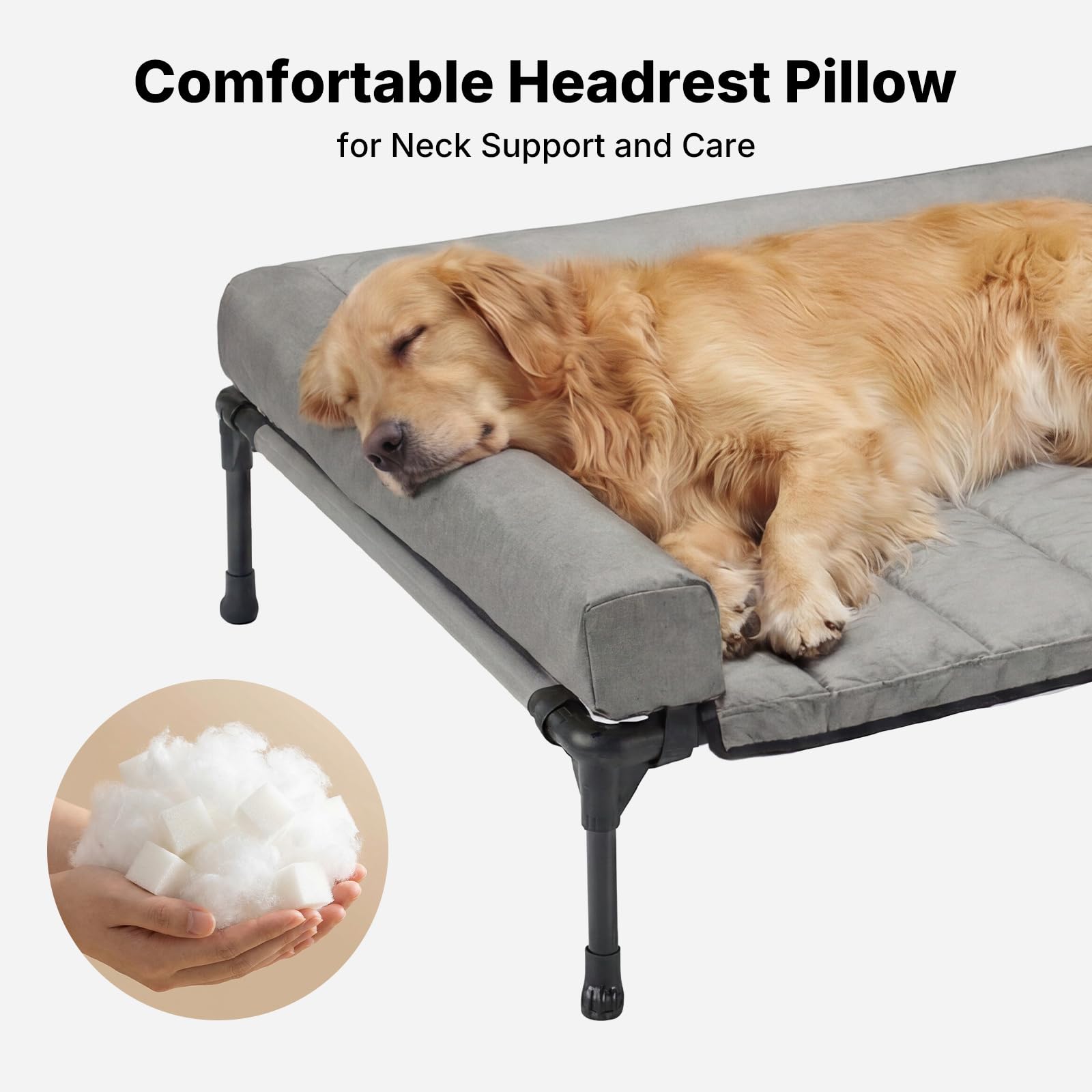 悬浮宁静 犬居臻品