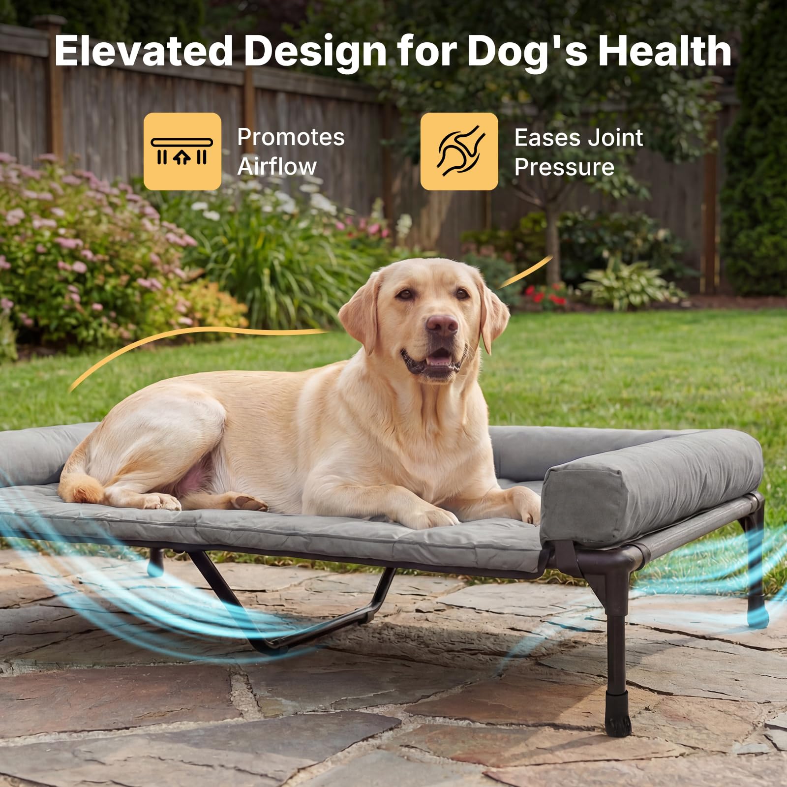 Elevated Canine Haven