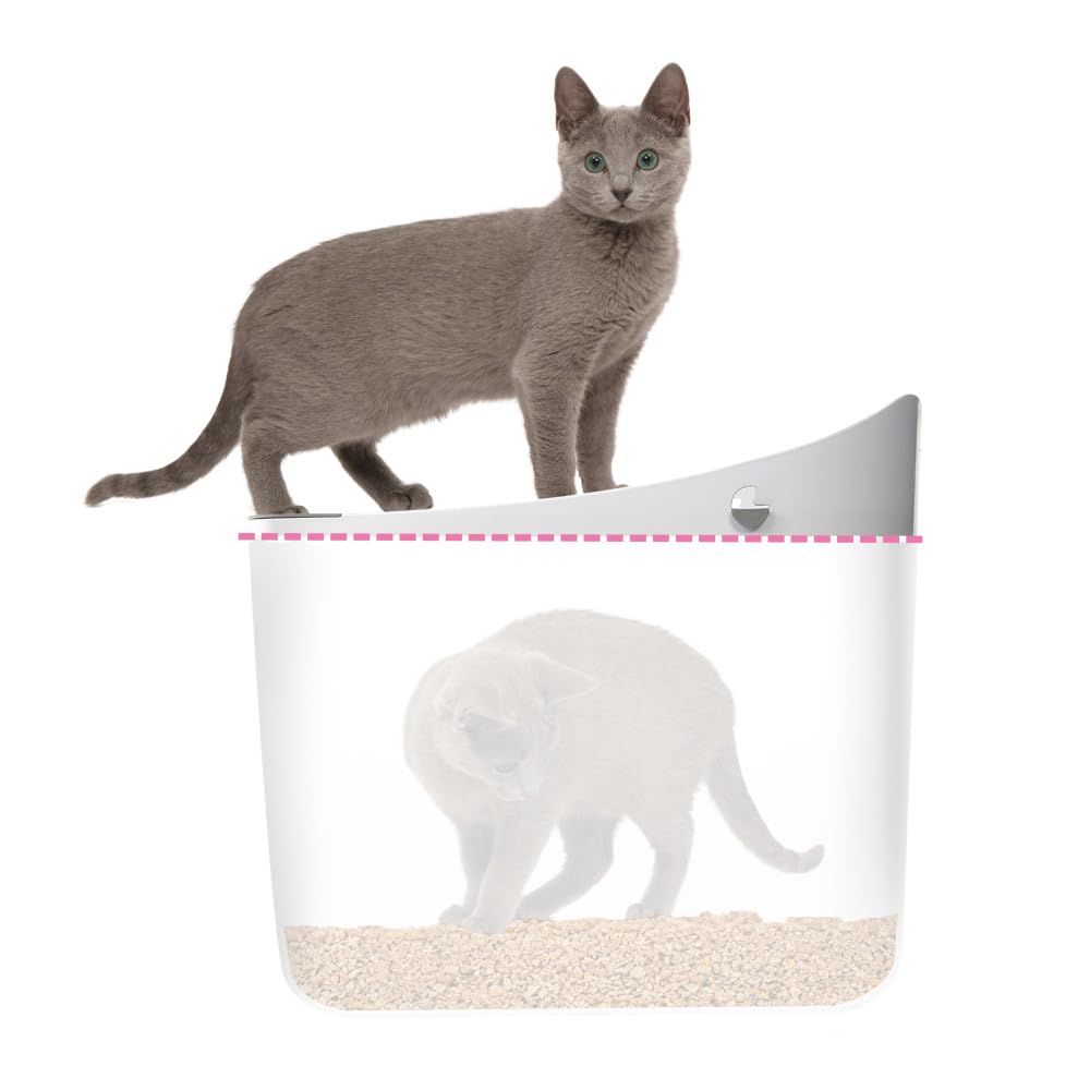 Minimalist Cat Care