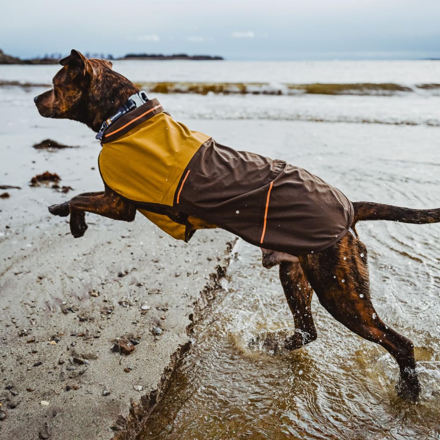 Minimalist Canine Protection