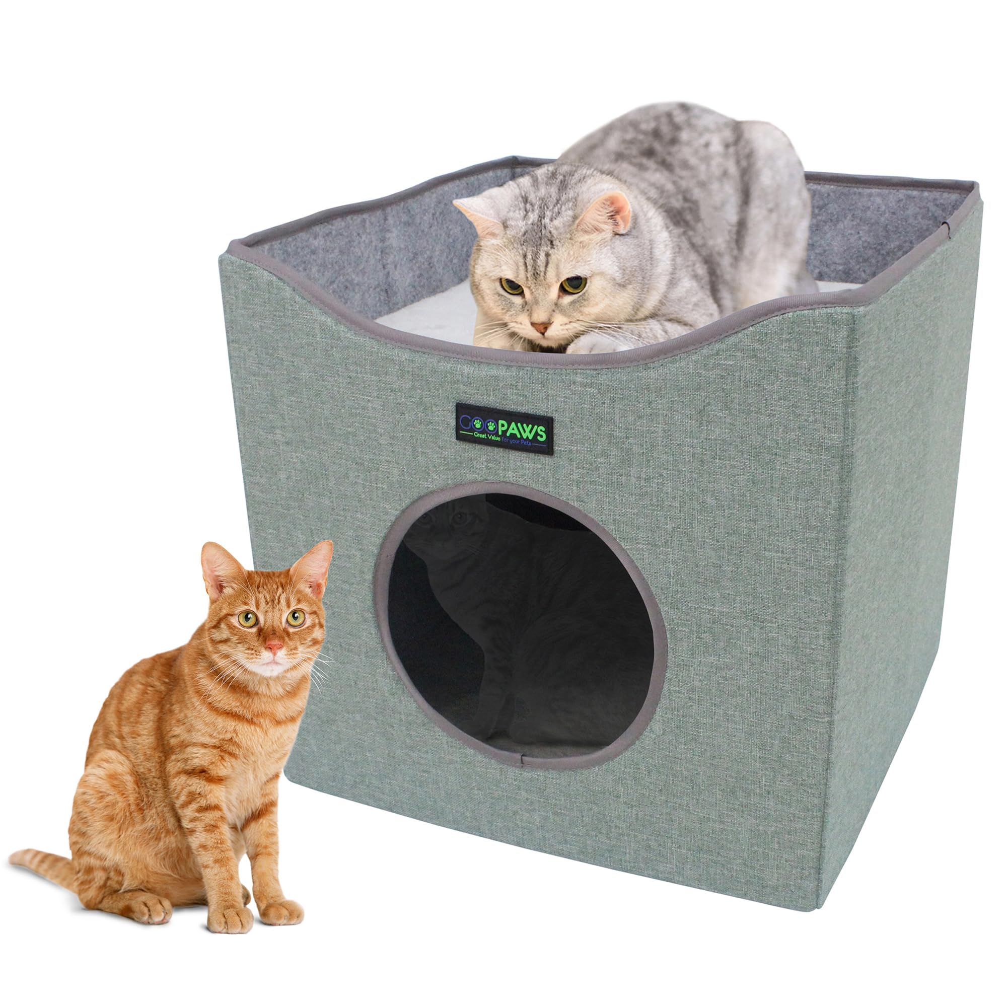 Chic Cat Sanctuary