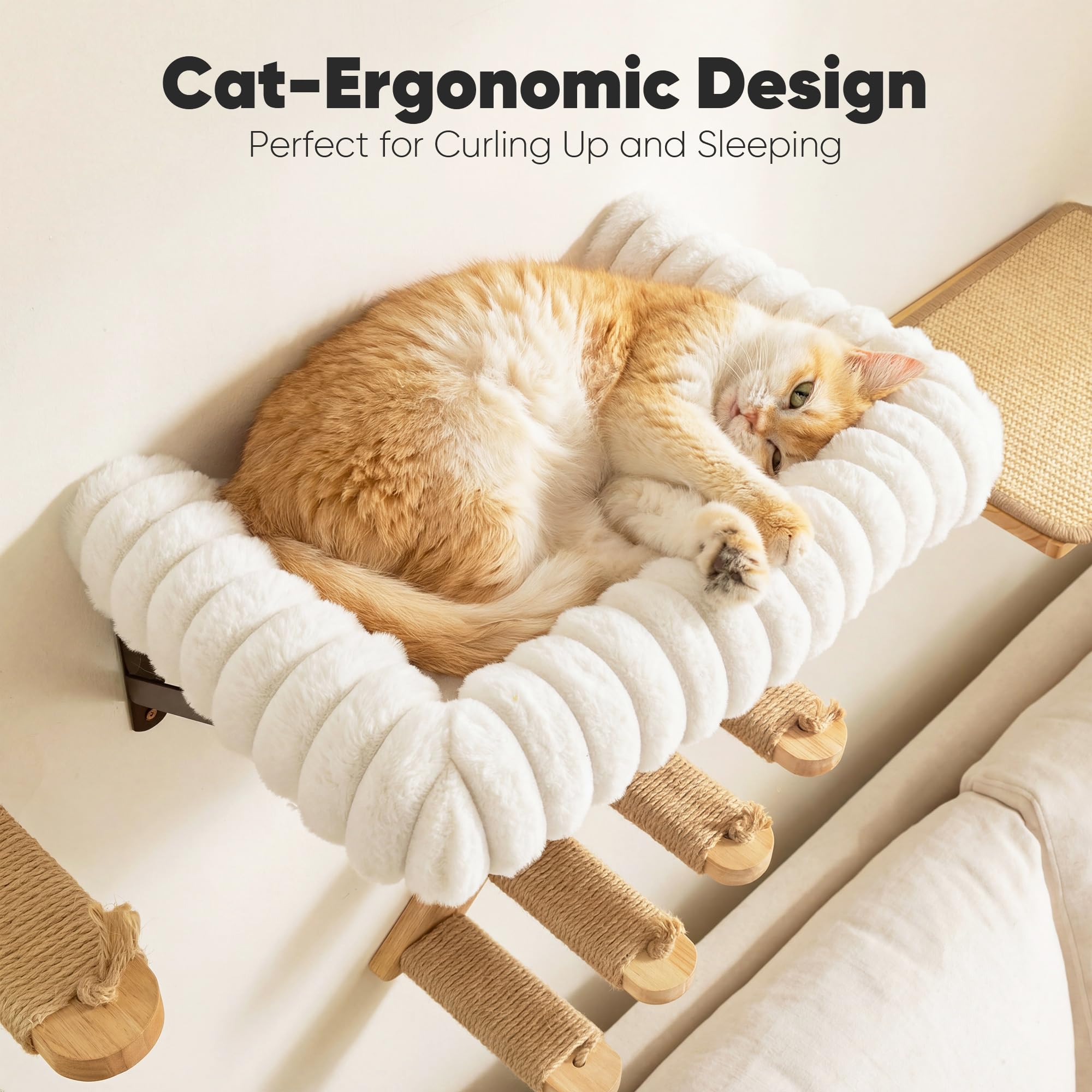 Elevated Feline Sanctuary