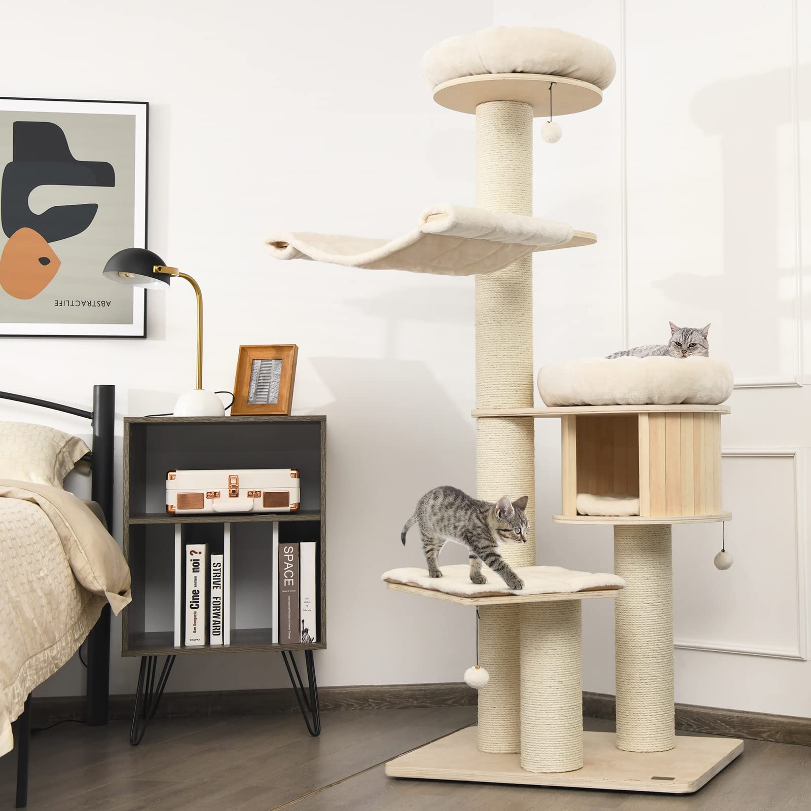 Elevated Feline Sanctuary
