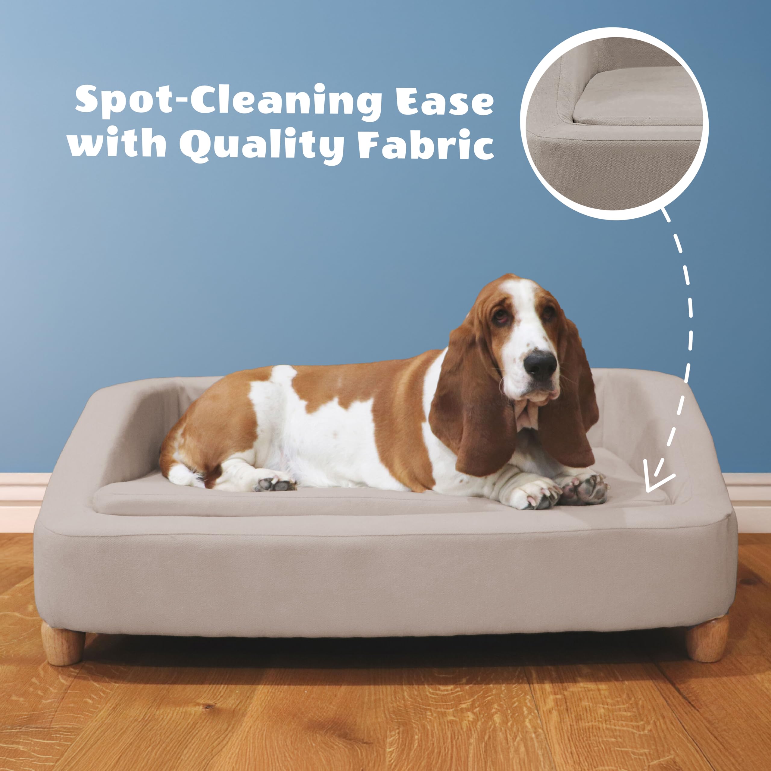 Elegant Pet Sanctuary