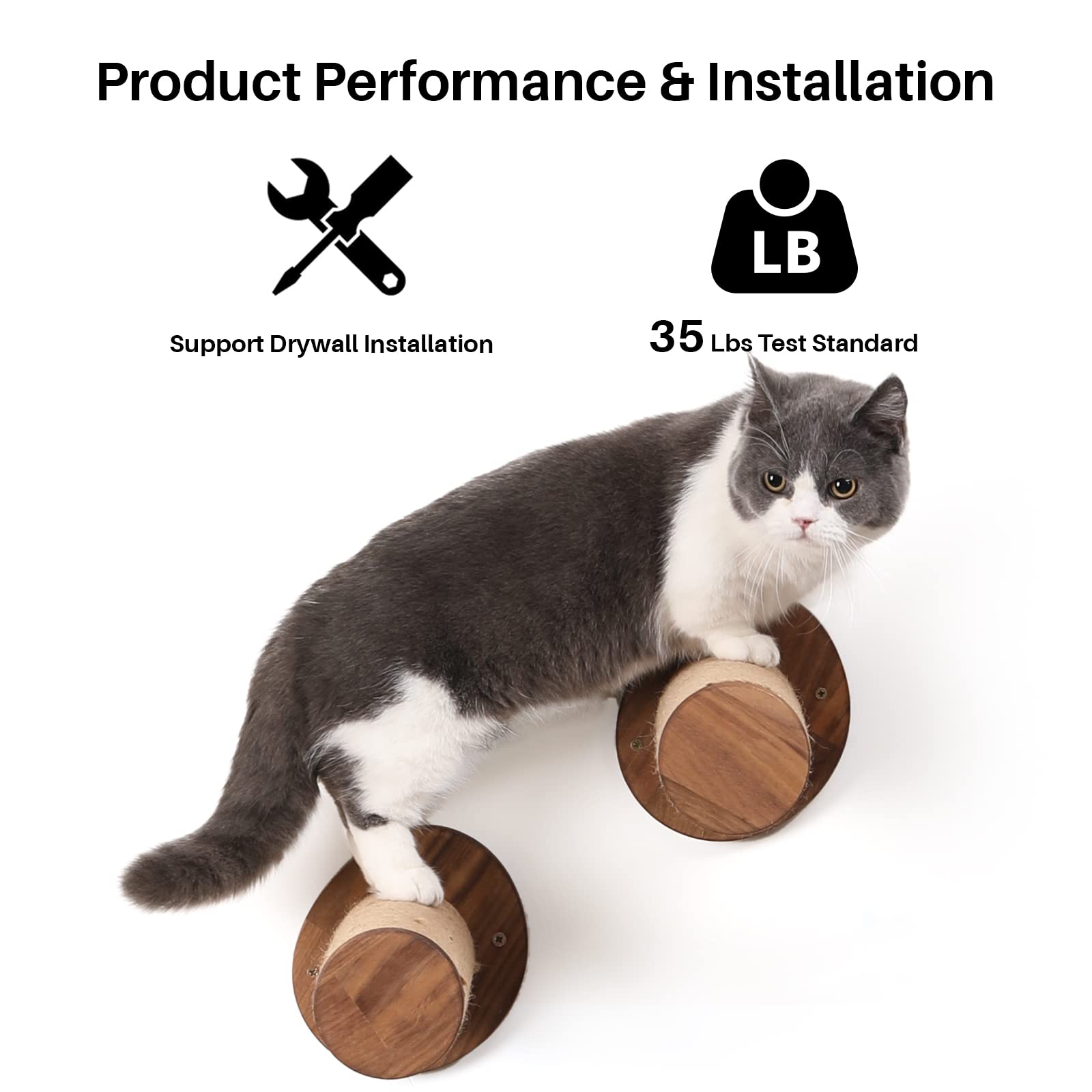 Elevated Feline Ascent