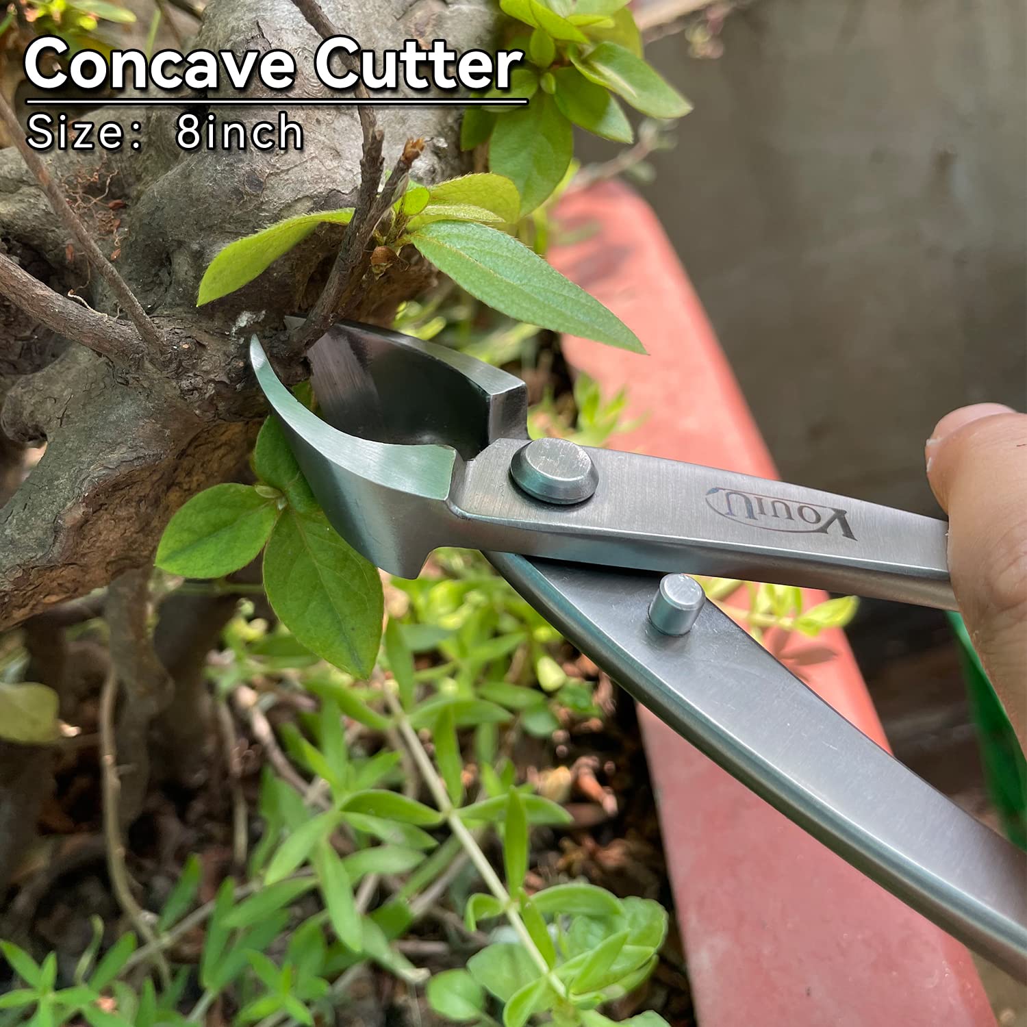 Bonsai Master's Precision
