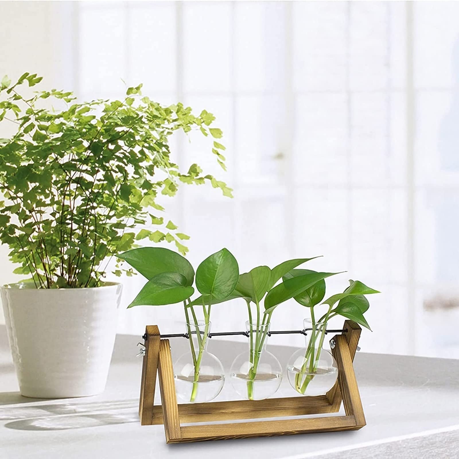 Biophilic Desk Sanctuary