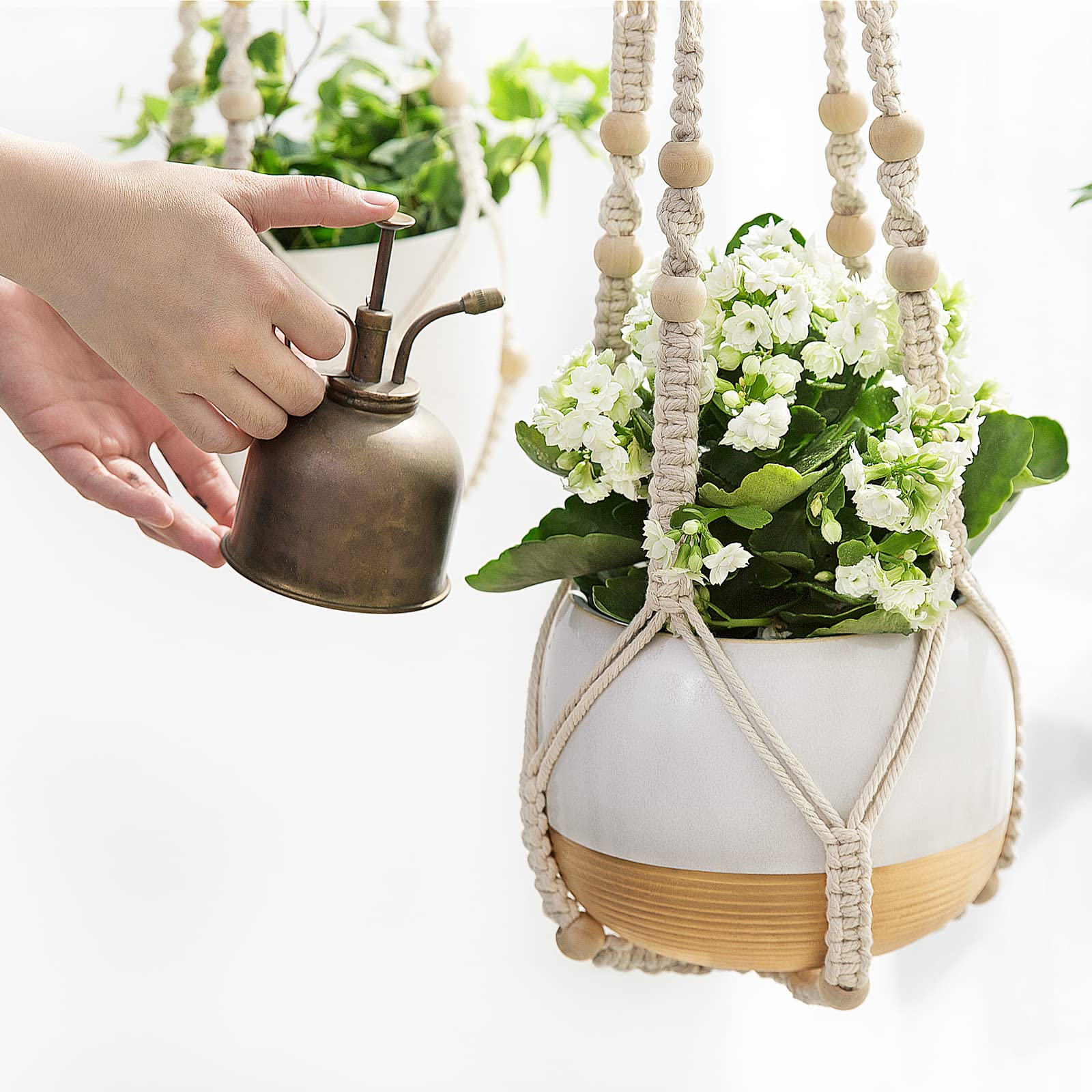 Suspended Serenity, Botanical Grace