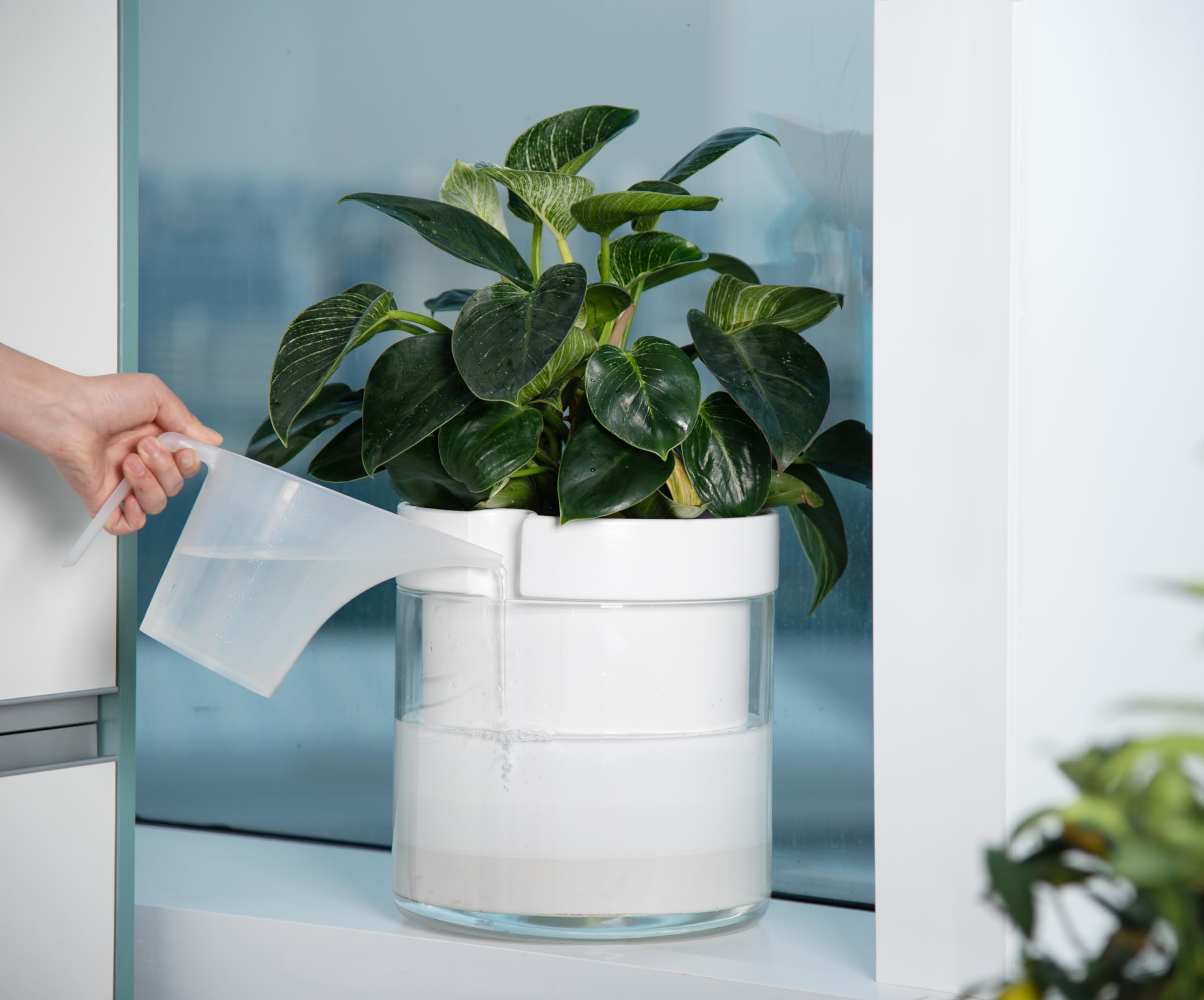 Nurturing Botanical Grace